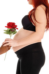 Image showing Pregnant woman gets rose.