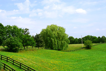 Image showing Rural landscape