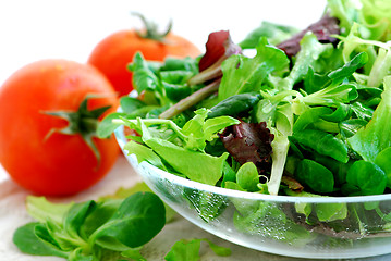 Image showing Baby greens and tomatoes