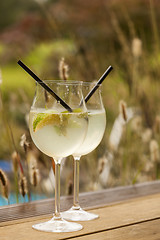 Image showing hugo prosecco elderflower soda ice summer drink 