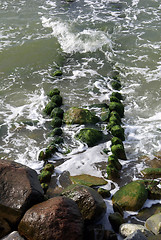 Image showing Green stones in the water