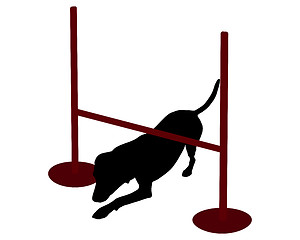 Image showing Dog agility: dog creeping under hurdle