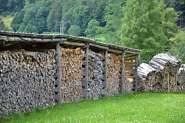 Image showing Wood pile