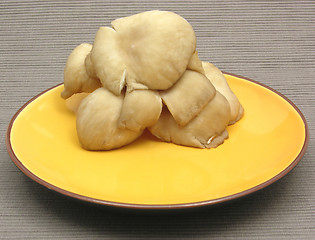 Image showing Oyster mushrooms on ceramic plate on gray