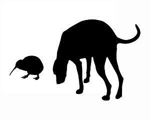 Image showing Dog and kiwi