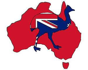 Image showing Kassowary Australia