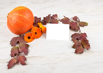 Image showing Pumpkin background