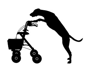 Image showing Dog pushes rollator