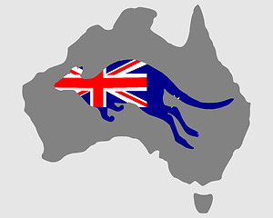 Image showing Australian kangaroo