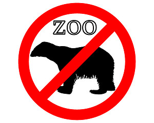 Image showing Polar bear in zoo prohibited