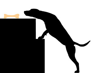 Image showing Dog steals bone