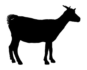 Image showing Goat silhouette 