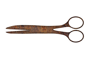 Image showing Rusty scissors