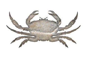 Image showing Crab stone