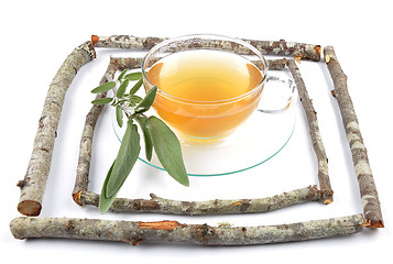 Image showing Sage tea