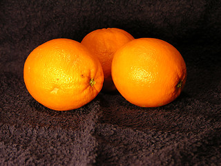 Image showing Orange 2