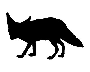 Image showing Fennec fox silhouette