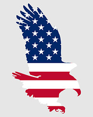 Image showing American bold eagle