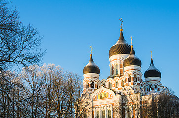 Image showing Facade of the Alexander Nevsky Cathedral in Tallinn