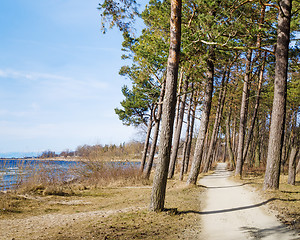 Image showing Coast of Baltic sea, a sunny day