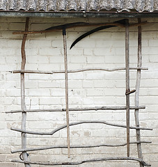 Image showing ladder for the creeper plant