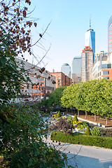 Image showing Green space within the concrete jungle