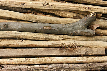 Image showing Pile of thin wooden sticks