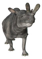 Image showing Brontotherium