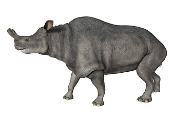 Image showing Brontotherium