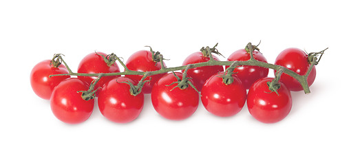 Image showing Cherry tomatoes on the stem