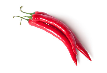 Image showing Three red ripe juicy hot chili peppers top view