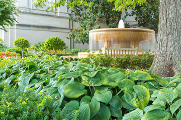 Image showing Water fountain in the garden