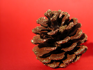 Image showing pine cone