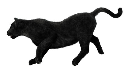 Image showing Black Panther