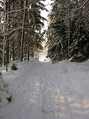 Image showing Snow 2