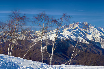 Image showing monte rosa glacier from mottarone bright sunny day