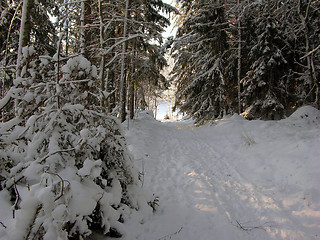 Image showing Snow 3