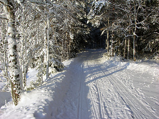 Image showing Snow 4