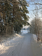 Image showing Snow 5