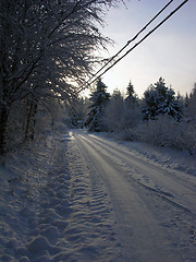 Image showing Snow 11