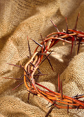 Image showing crown of thorns