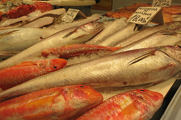 Image showing Supermarket Spain