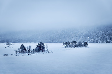 Image showing Forest and lake Eibsee with snow Bavaria