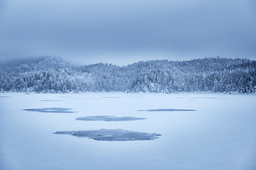 Image showing Forest and lake Eibsee with snow Bavaria