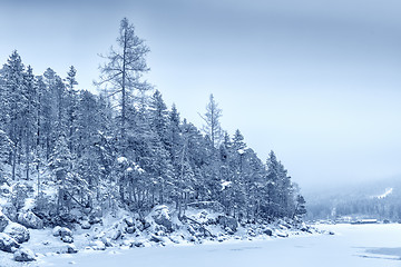 Image showing Forest with snow Bavaria