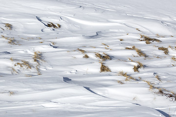 Image showing Closeup of snowdrift and grass