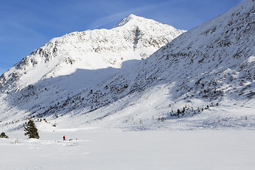 Image showing Ice diving at a frozen lake in the Austrian Alps