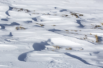 Image showing Closeup of snowdrift and grass