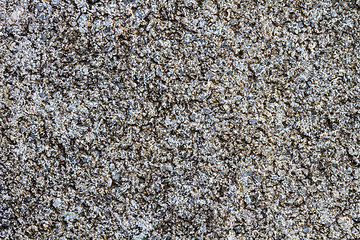 Image showing Concrete block texture