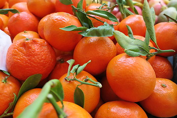 Image showing Clementines - Supermarket, Spain